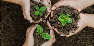 Why should a parent attend environmental day event?